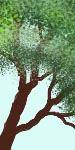 MiniTree2